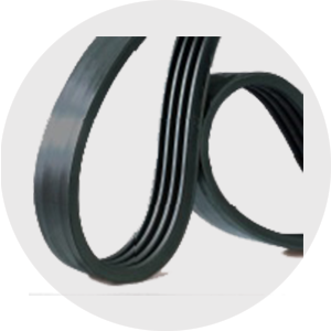BElts4